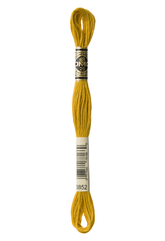 DMC Mouliné Spécial 117MC-E_3852