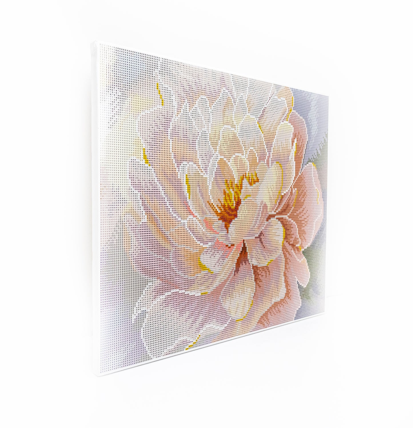 481-050 Floral Grace– Framed Diamond Painting Kit (40 × 50 cm) – Limited Edition