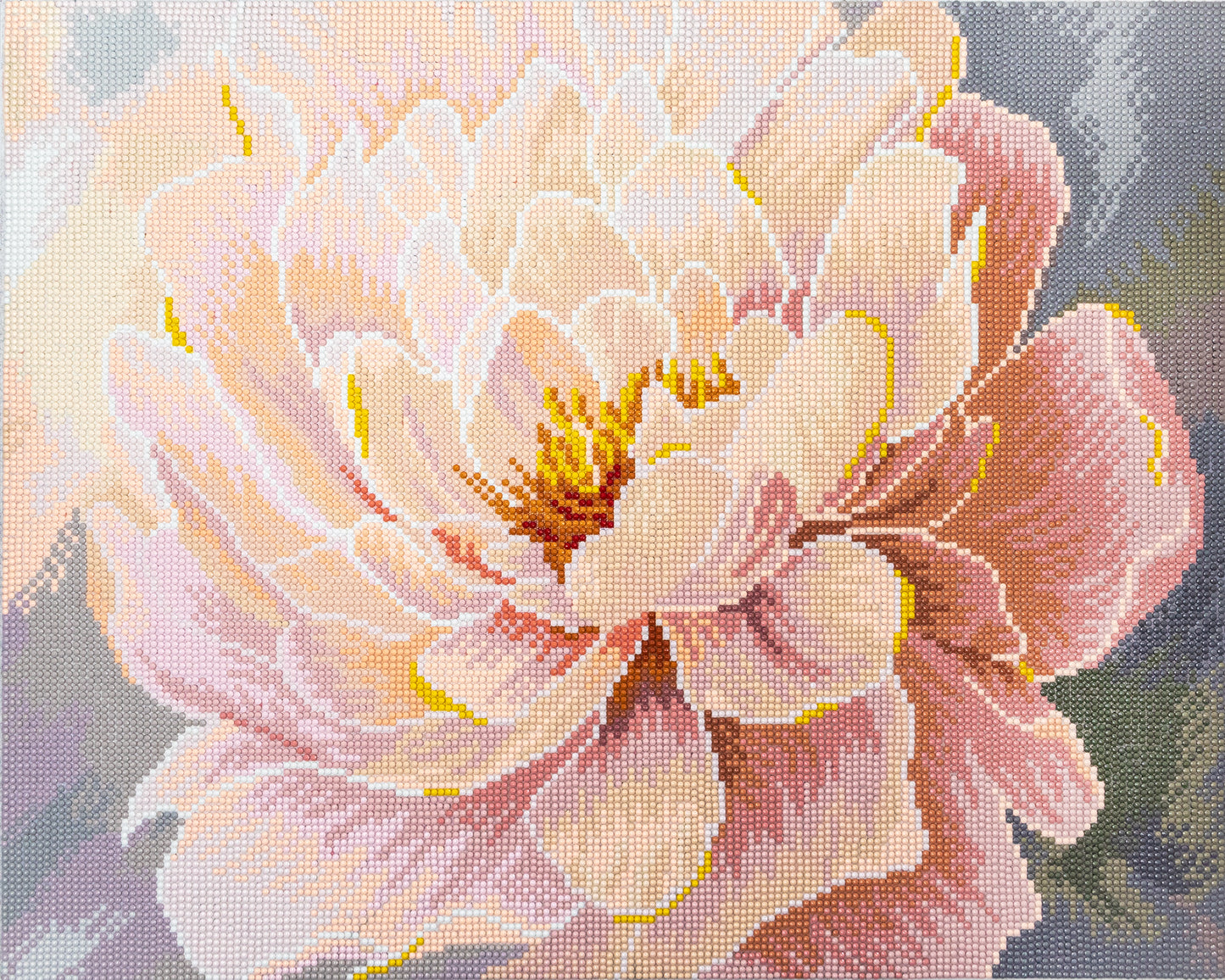 481-050 Floral Grace– Framed Diamond Painting Kit (40 × 50 cm) – Limited Edition