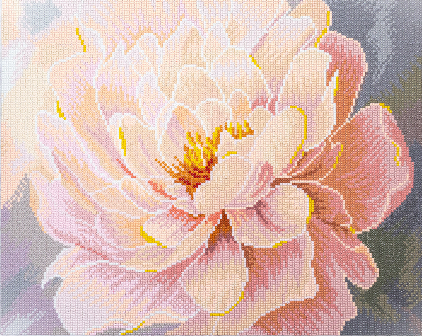 481-050 Floral Grace– Framed Diamond Painting Kit (40 × 50 cm) – Limited Edition