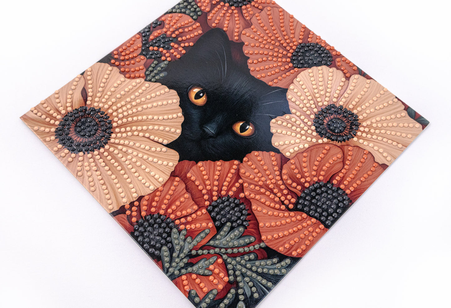 Card with a Black cat peeking out from red poppies
