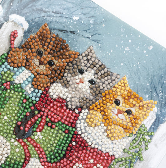 481-548 Snowy Kitties