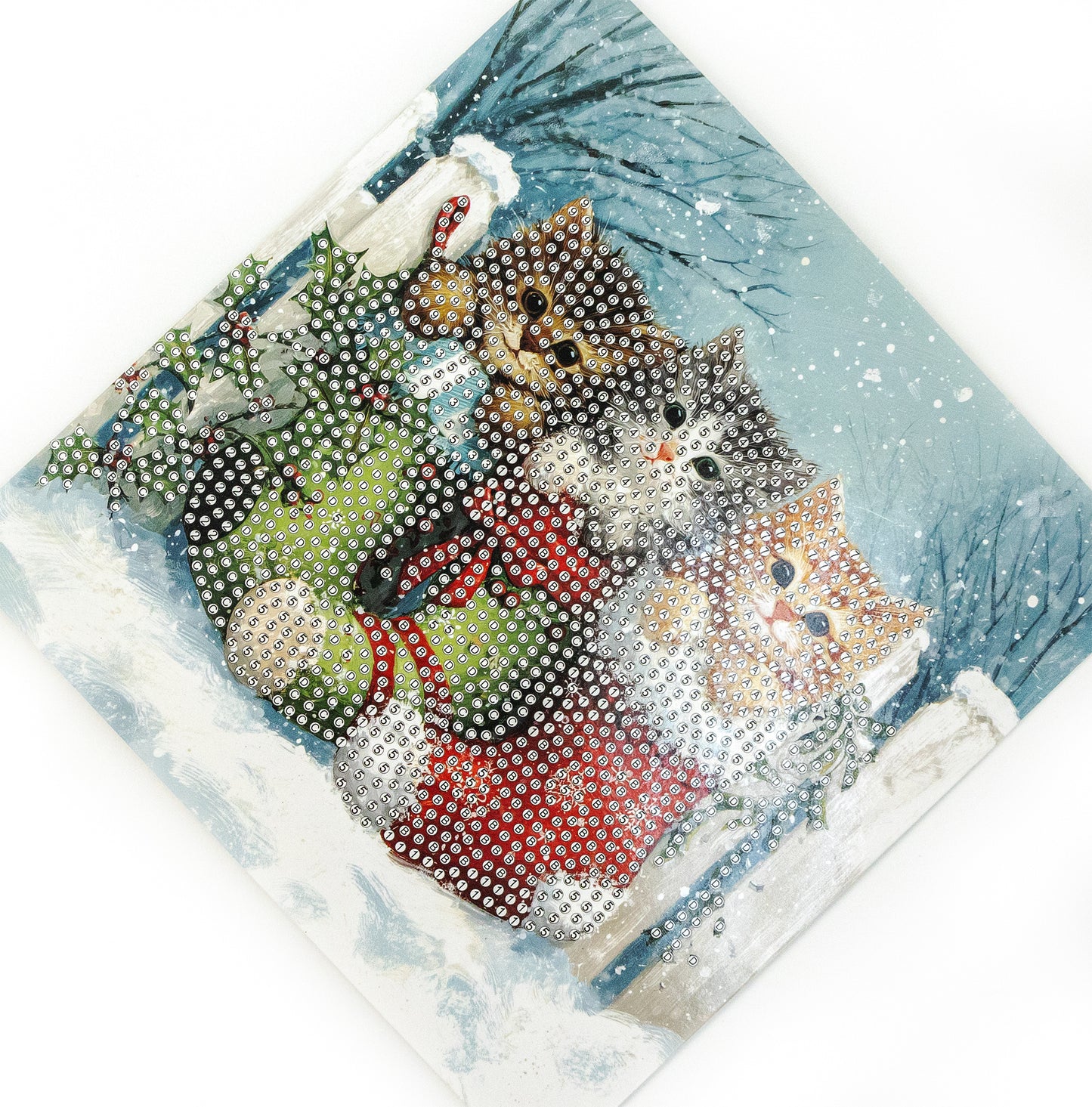 481-548 Snowy Kitties