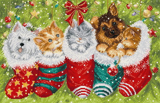L9940 Dogs and Cats in Stockings