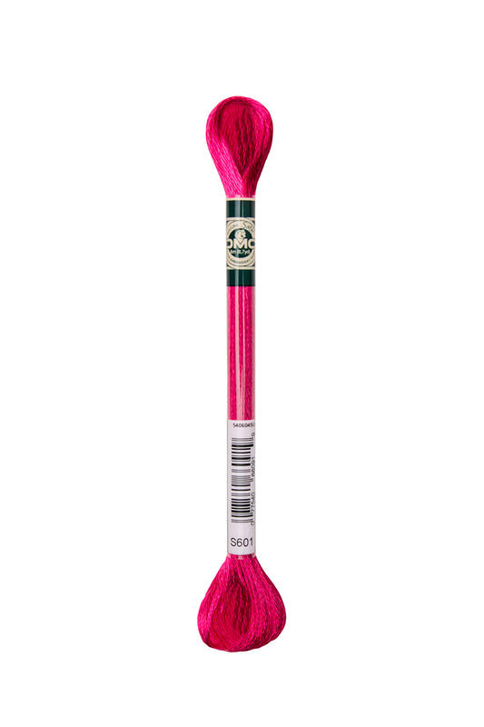DMC Satin floss 1008FS-S601