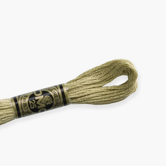 DMC Stranded Cotton color 3716-3866, DMC Embroidery Thread, 8 meter skeins Stranded Cotton