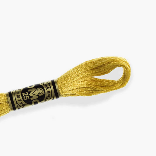 DMC Stranded Cotton color 3716-3866, DMC Embroidery Thread, 8 meter skeins Stranded Cotton