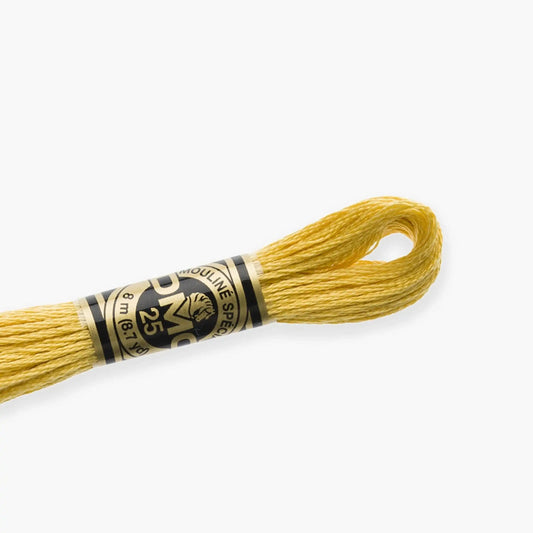 DMC Stranded Cotton color 3716-3866, DMC Embroidery Thread, 8 meter skeins Stranded Cotton