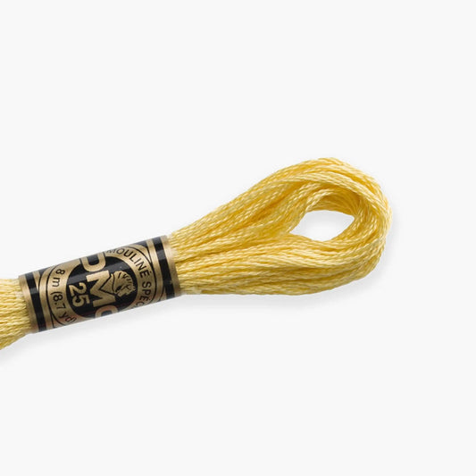 DMC Stranded Cotton color 3716-3866, DMC Embroidery Thread, 8 meter skeins Stranded Cotton