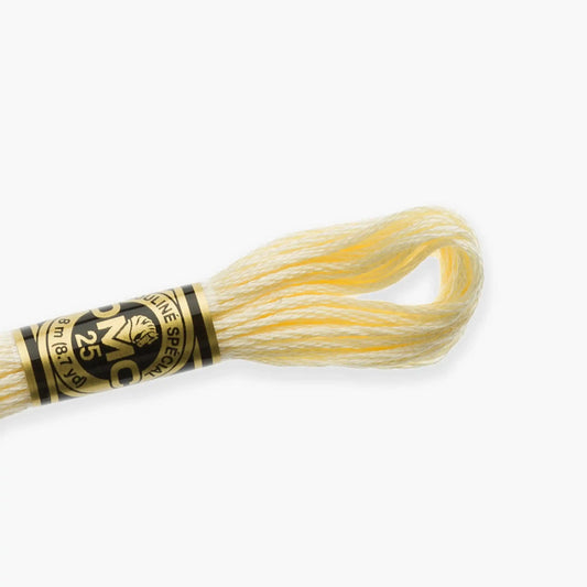 DMC Stranded Cotton color 3716-3866, DMC Embroidery Thread, 8 meter skeins Stranded Cotton
