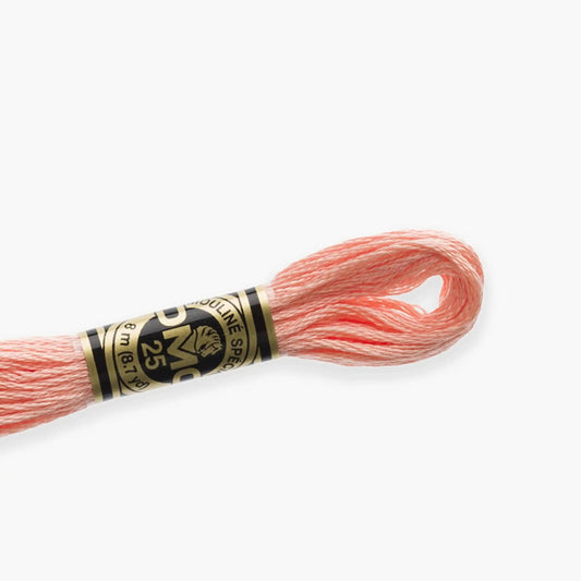 DMC Stranded Cotton color 3716-3866, DMC Embroidery Thread, 8 meter skeins Stranded Cotton