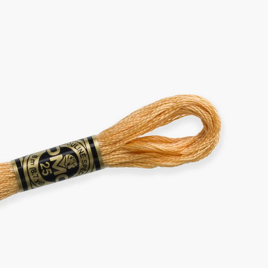 DMC Stranded Cotton color 3716-3866, DMC Embroidery Thread, 8 meter skeins Stranded Cotton