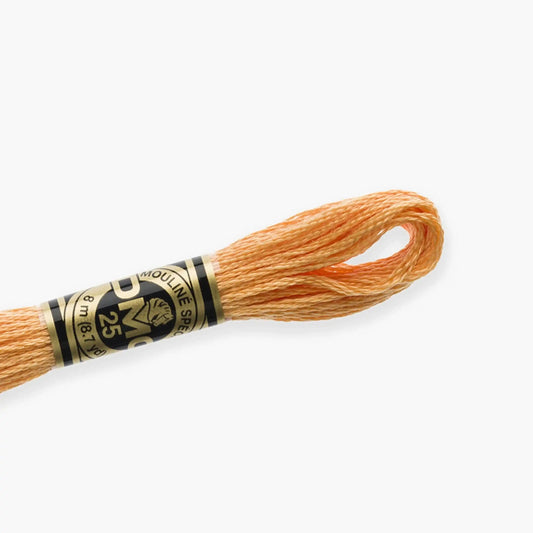 DMC Stranded Cotton color 3716-3866, DMC Embroidery Thread, 8 meter skeins Stranded Cotton