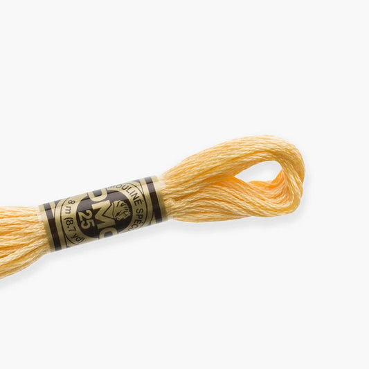 DMC Stranded Cotton color 3716-3866, DMC Embroidery Thread, 8 meter skeins Stranded Cotton