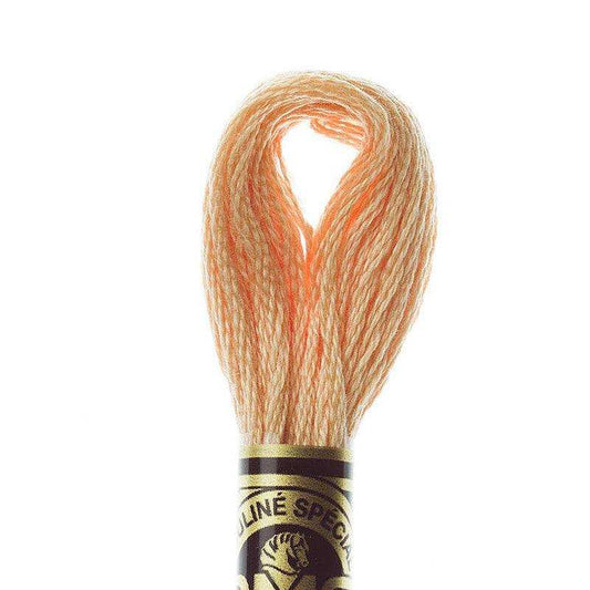 DMC Stranded Cotton color 3716-3866, DMC Embroidery Thread, 8 meter skeins Stranded Cotton