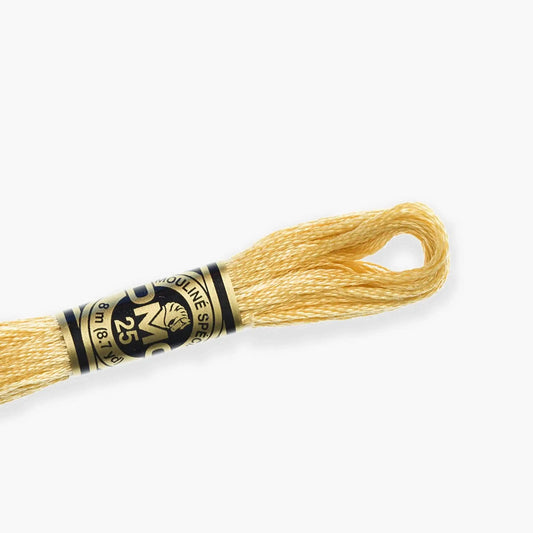 DMC Stranded Cotton color 3716-3866, DMC Embroidery Thread, 8 meter skeins Stranded Cotton