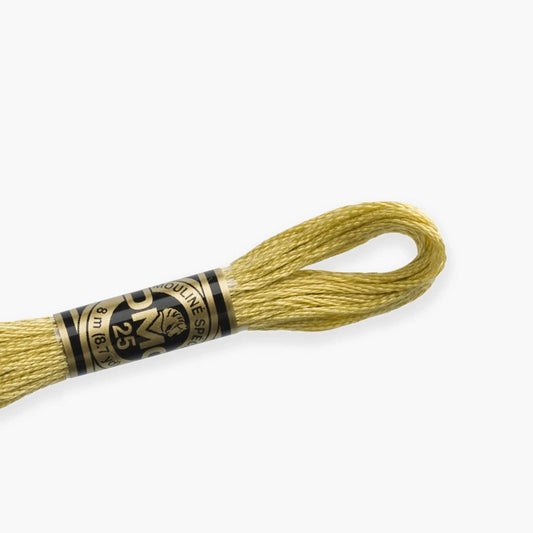 DMC Stranded Cotton color 3716-3866, DMC Embroidery Thread, 8 meter skeins Stranded Cotton