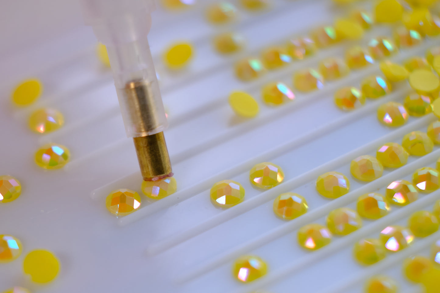 LT02  Leopard on a Branch